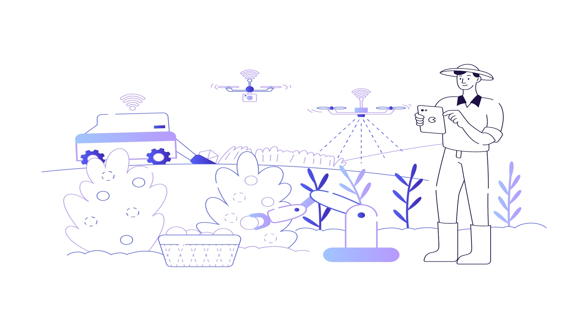 Rural Digitalization